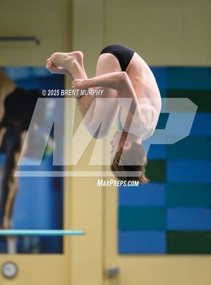 Thumbnail 1 in CHSAA 5A Dive Finals photogallery.