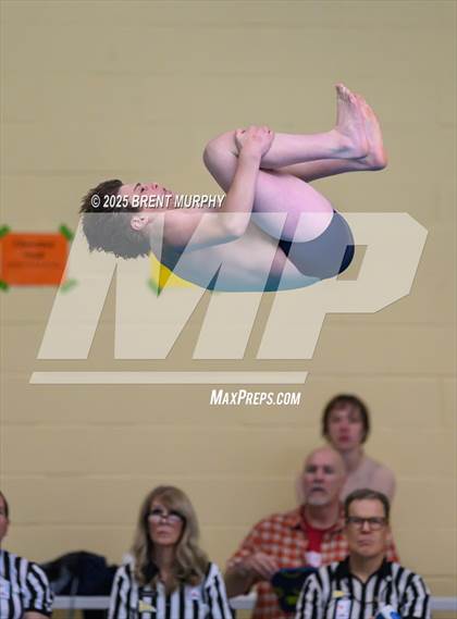 Thumbnail 2 in CHSAA 5A Dive Finals photogallery.