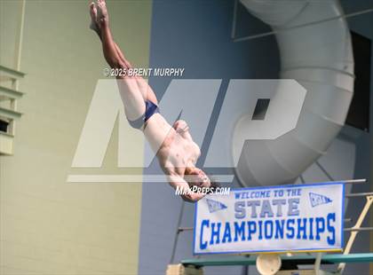 Thumbnail 2 in CHSAA 5A Dive Finals photogallery.