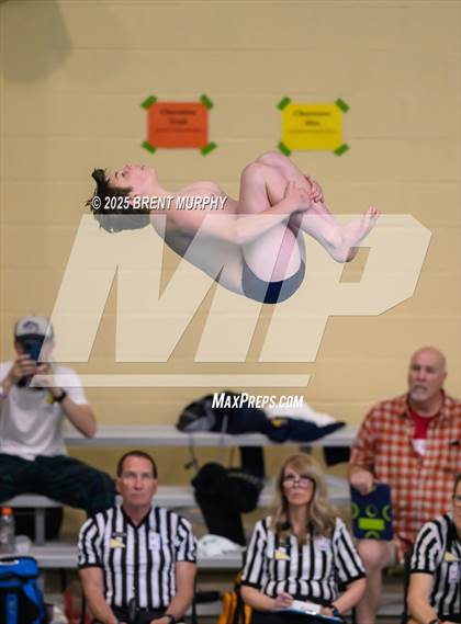 Thumbnail 3 in CHSAA 5A Dive Finals photogallery.