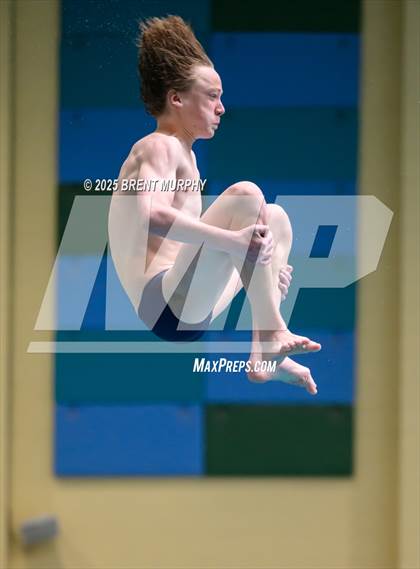 Thumbnail 1 in CHSAA 5A Dive Finals photogallery.