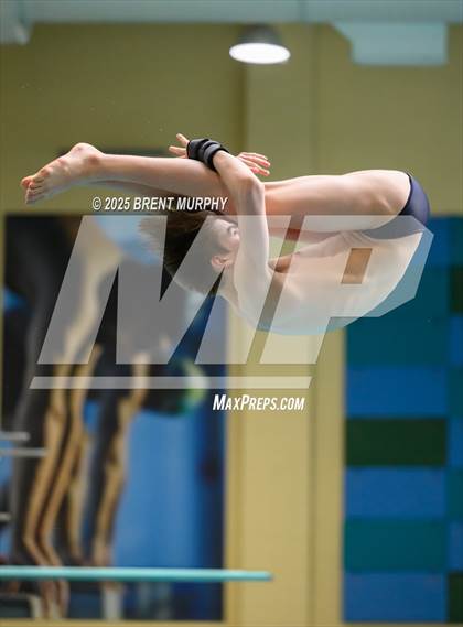 Thumbnail 1 in CHSAA 5A Dive Finals photogallery.