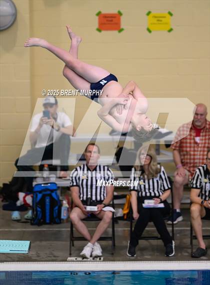 Thumbnail 1 in CHSAA 5A Dive Finals photogallery.