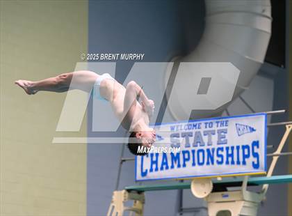 Thumbnail 2 in CHSAA 5A Dive Finals photogallery.
