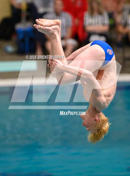 Thumbnail 3 in CHSAA 5A Dive Finals photogallery.