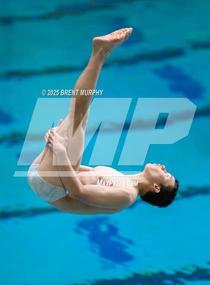 Thumbnail 1 in CHSAA 5A Dive Finals photogallery.