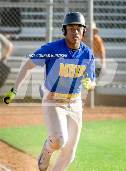 Thumbnail 3 in Hoover @ Muir photogallery.
