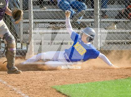 Thumbnail 3 in Hoover @ Muir photogallery.
