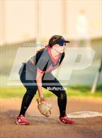 Photo from the gallery "Antelope @ Laguna Creek"