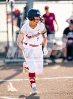 Photo from the gallery "Antelope @ Laguna Creek"