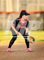 Photo from the gallery "Antelope @ Laguna Creek"