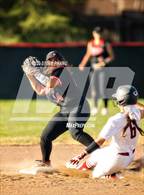 Photo from the gallery "Antelope @ Laguna Creek"