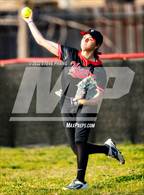 Photo from the gallery "Antelope @ Laguna Creek"