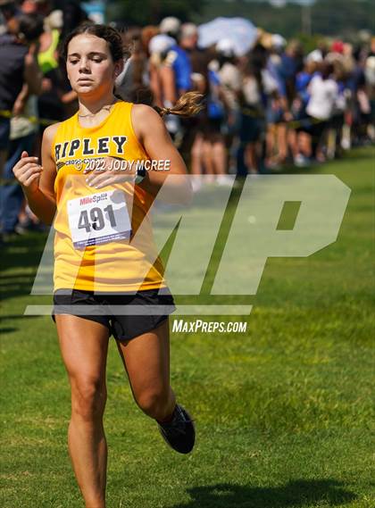 Thumbnail 1 in New Albany Cross Country Classic 2022 (New Albany Cross Country Classic 2022) photogallery.