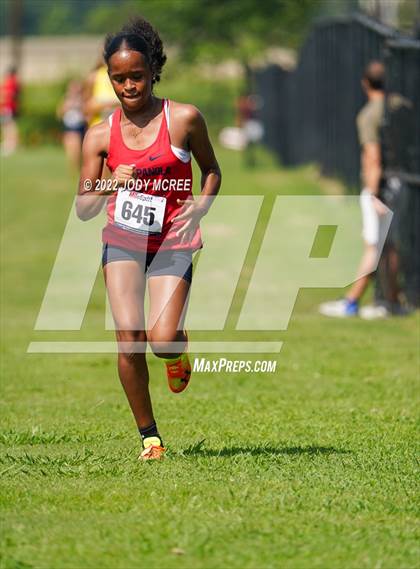 Thumbnail 2 in New Albany Cross Country Classic 2022 (New Albany Cross Country Classic 2022) photogallery.