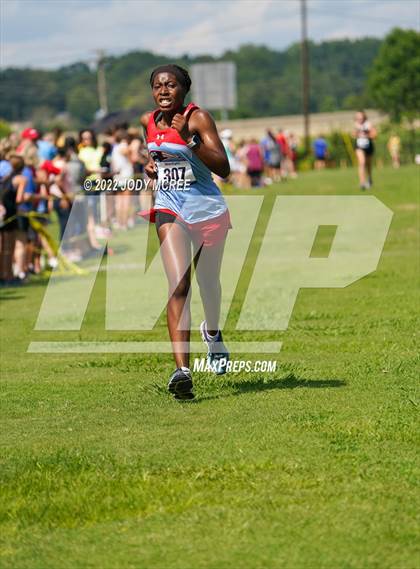 Thumbnail 2 in New Albany Cross Country Classic 2022 (New Albany Cross Country Classic 2022) photogallery.