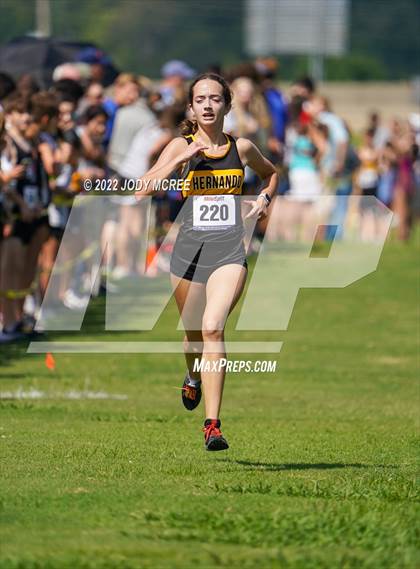 Thumbnail 2 in New Albany Cross Country Classic 2022 (New Albany Cross Country Classic 2022) photogallery.