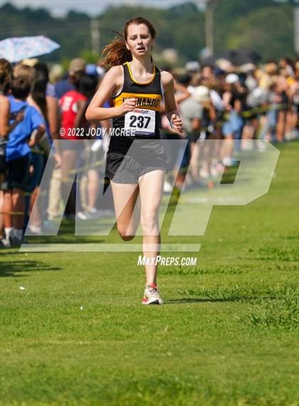 Thumbnail 3 in New Albany Cross Country Classic 2022 (New Albany Cross Country Classic 2022) photogallery.