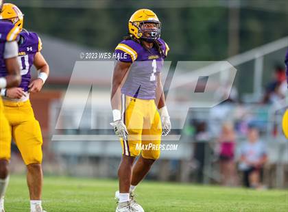 Thumbnail 2 in Center Hill @ Desoto Central photogallery.