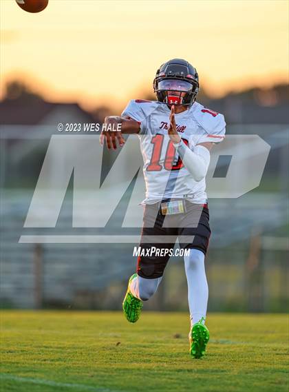 Thumbnail 2 in Center Hill @ Desoto Central photogallery.