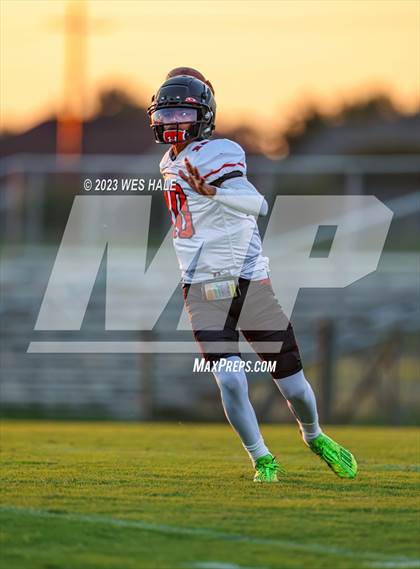 Thumbnail 2 in Center Hill @ Desoto Central photogallery.