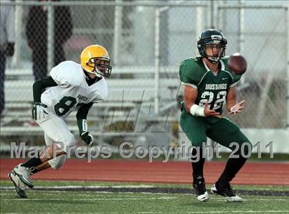 Thumbnail 2 in Vanden @ Rodriguez photogallery.