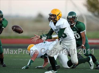 Thumbnail 1 in Vanden @ Rodriguez photogallery.