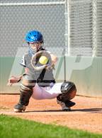 Photo from the gallery "Columbine @ Fossil Ridge"