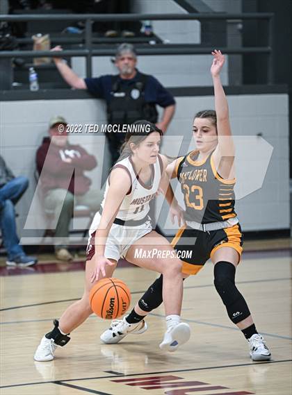 Thumbnail 1 in Mayflower @ Perryville photogallery.