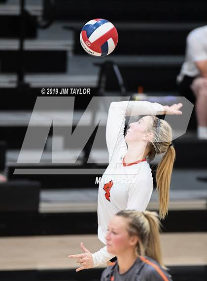 Thumbnail 3 in Peaster @ Springtown photogallery.