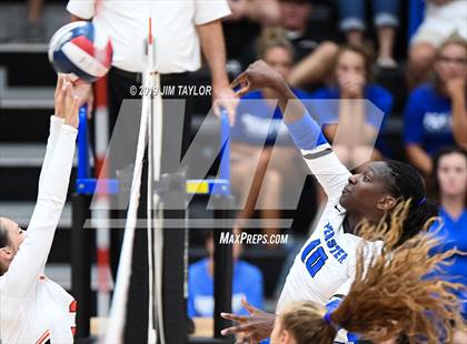Thumbnail 2 in Peaster @ Springtown photogallery.