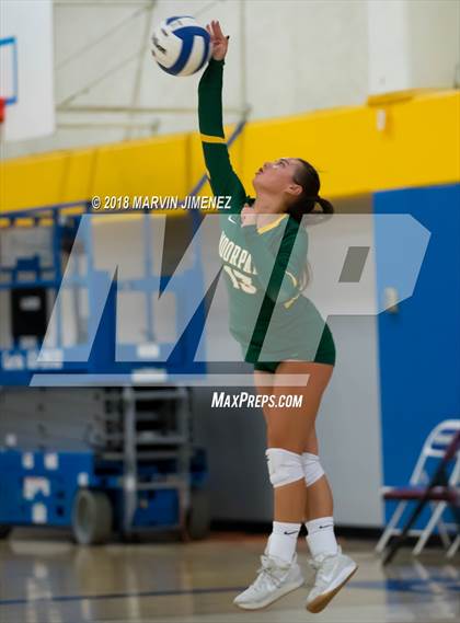 Thumbnail 3 in Moorpark @ Agoura photogallery.