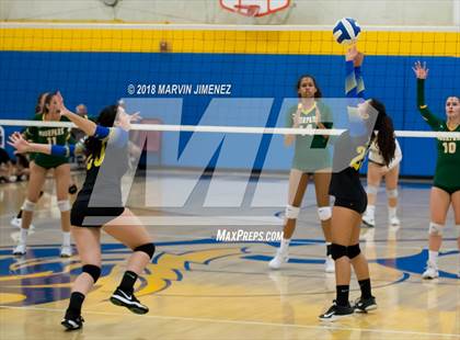 Thumbnail 3 in Moorpark @ Agoura photogallery.