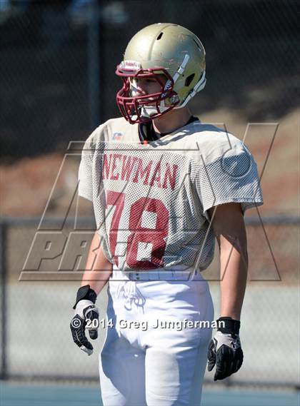 Thumbnail 3 in Cardinal Newman @ Marin Catholic photogallery.