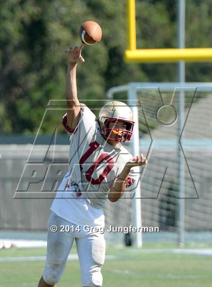 Thumbnail 3 in Cardinal Newman @ Marin Catholic photogallery.