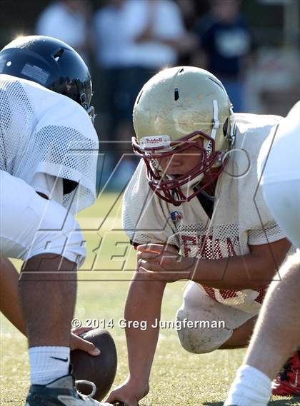 Thumbnail 2 in Cardinal Newman @ Marin Catholic photogallery.