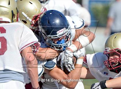 Thumbnail 3 in Cardinal Newman @ Marin Catholic photogallery.