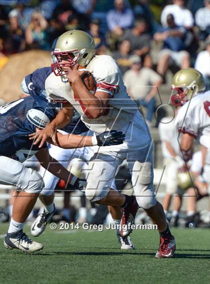 Thumbnail 3 in Cardinal Newman @ Marin Catholic photogallery.