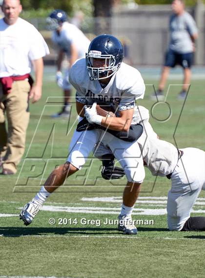 Thumbnail 3 in Cardinal Newman @ Marin Catholic photogallery.
