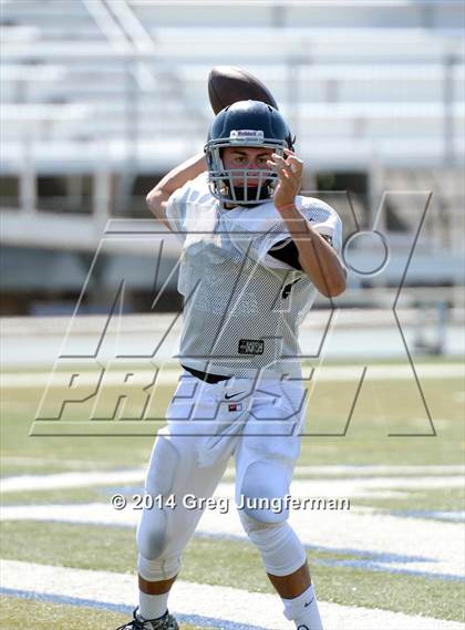 Thumbnail 3 in Cardinal Newman @ Marin Catholic photogallery.