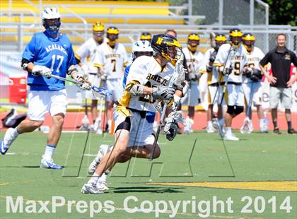 Thumbnail 1 in Acalanes @ Novato photogallery.