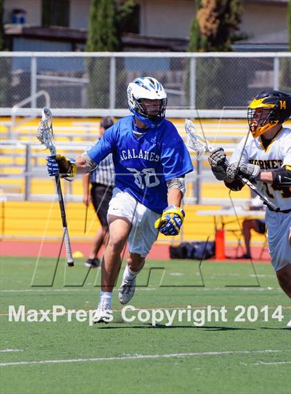 Thumbnail 1 in Acalanes @ Novato photogallery.