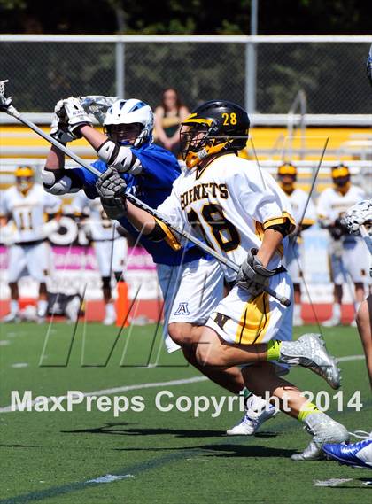 Thumbnail 1 in Acalanes @ Novato photogallery.