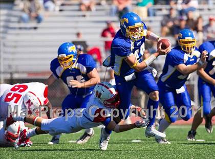 Thumbnail 1 in Natick @ Norwood photogallery.