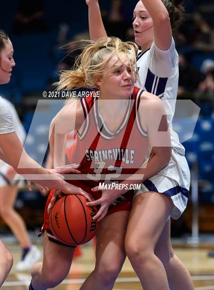 Thumbnail 2 in Springville @ Lehi (UHSAA 5A Semifinal) photogallery.