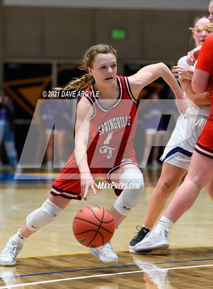 Thumbnail 1 in Springville @ Lehi (UHSAA 5A Semifinal) photogallery.