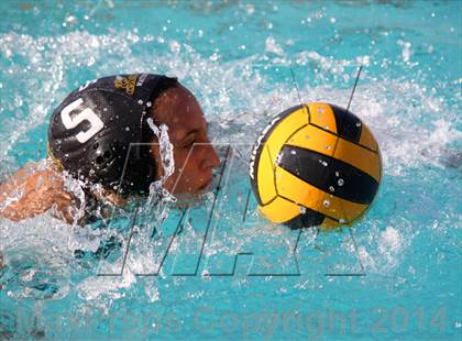 Thumbnail 2 in San Pasqual @ El Camino photogallery.