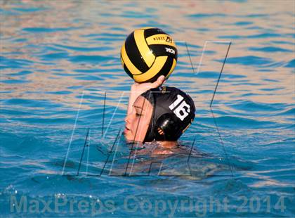 Thumbnail 2 in San Pasqual @ El Camino photogallery.