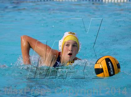 Thumbnail 3 in San Pasqual @ El Camino photogallery.
