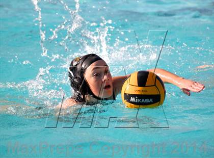 Thumbnail 2 in San Pasqual @ El Camino photogallery.